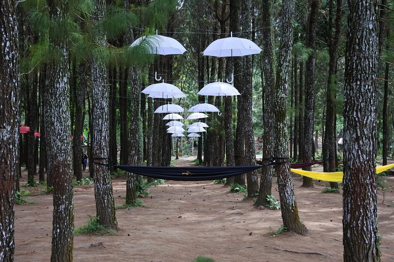 Alternatif Plafon Rumah
