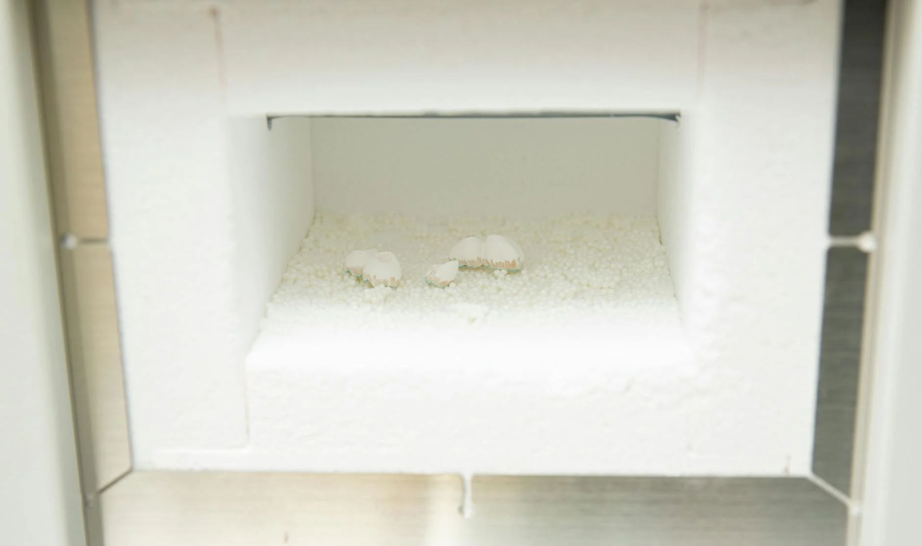 Apa Itu Partisi Gypsum