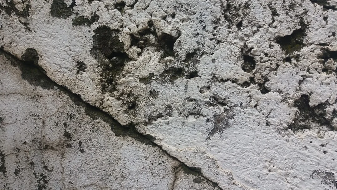 Apa Penyebab Plafon Gypsum Cepat Rusak Atau Melengkung?