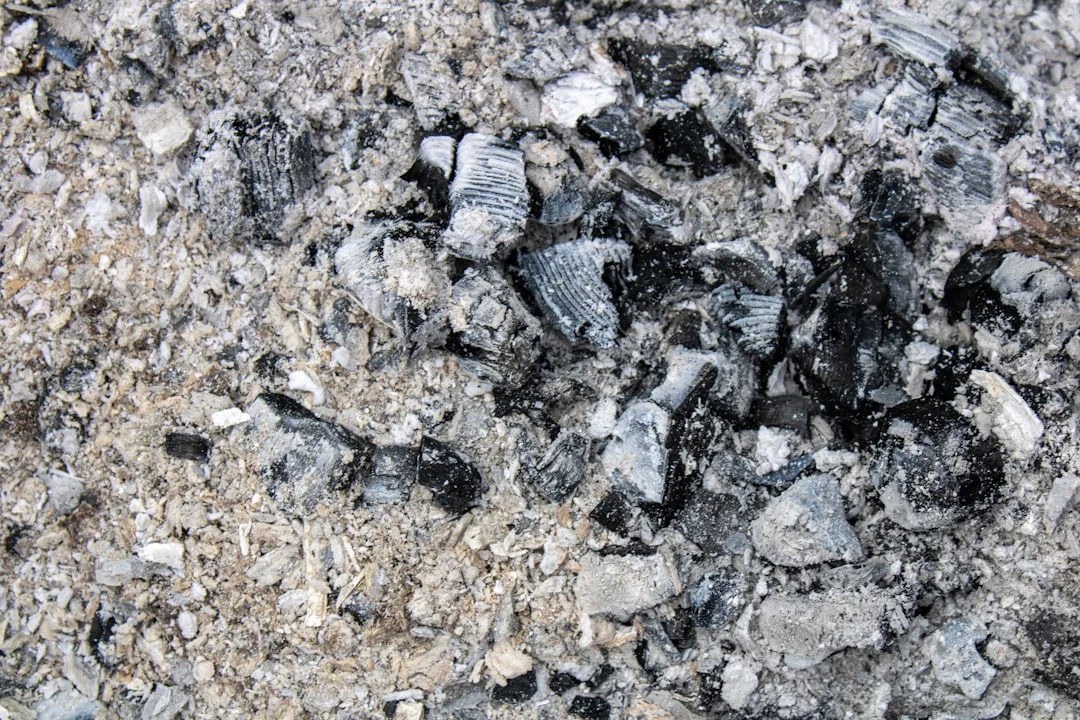 Apa Perbedaan Plafon PVC Dan Gypsum Secara Detail?