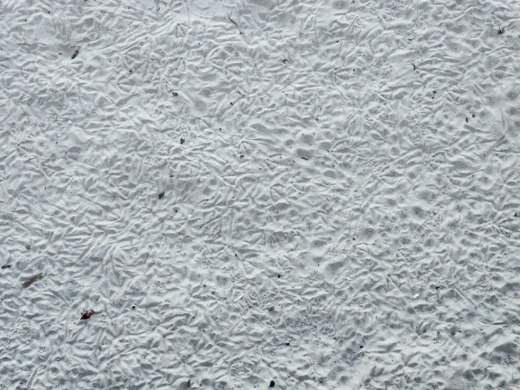 Apakah Gypsum Bisa Diampelas Dan Dicat Ulang?