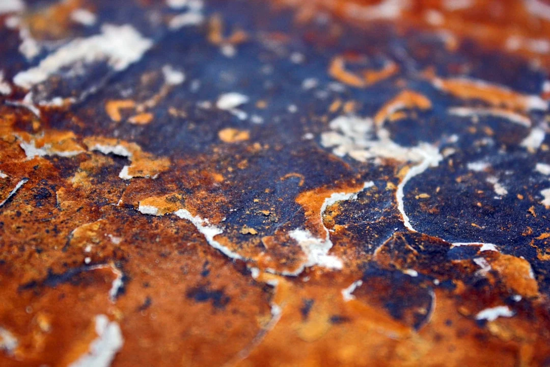 Apakah Gypsum Bisa Diampelas Dan Dicat Ulang?
