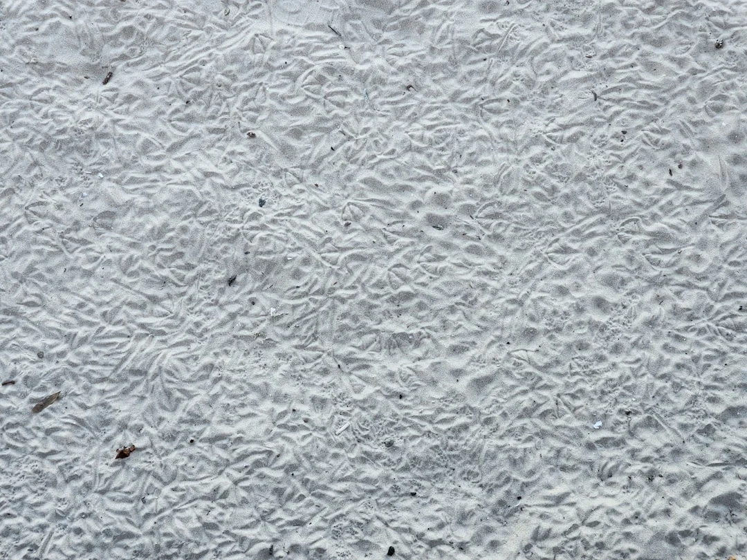 Apakah Gypsum Bisa Diampelas Dan Dicat Ulang?