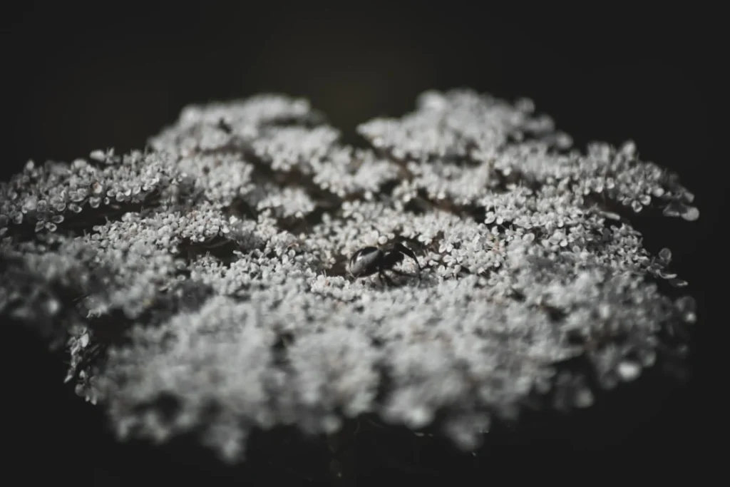 Bahan Apa Saja Yang Dibutuhkan Untuk Pemasangan Gypsum?