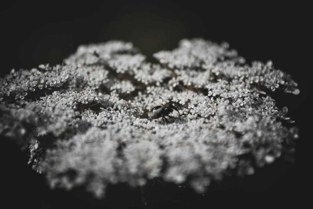 Bahan Apa Saja Yang Dibutuhkan Untuk Pemasangan Gypsum?