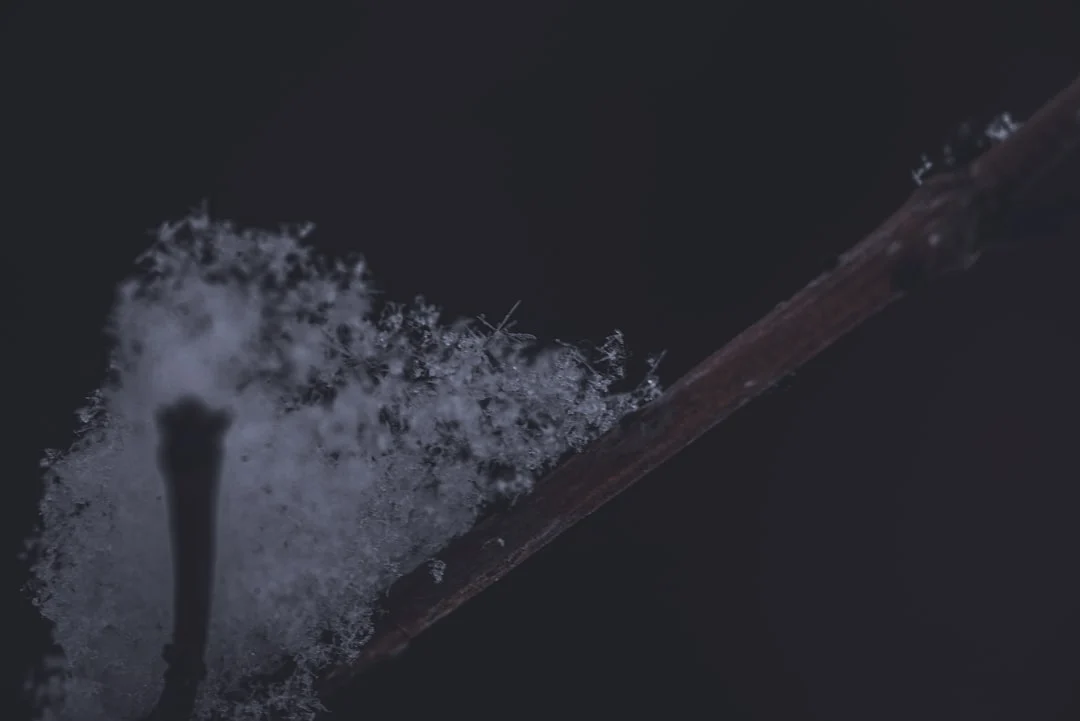 Cara Menghilangkan Noda Di Gypsum