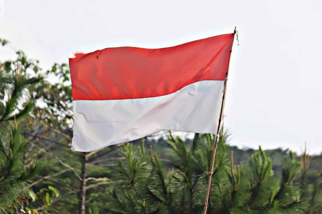 Harga Partisi Gypsum Kualitas Tinggi