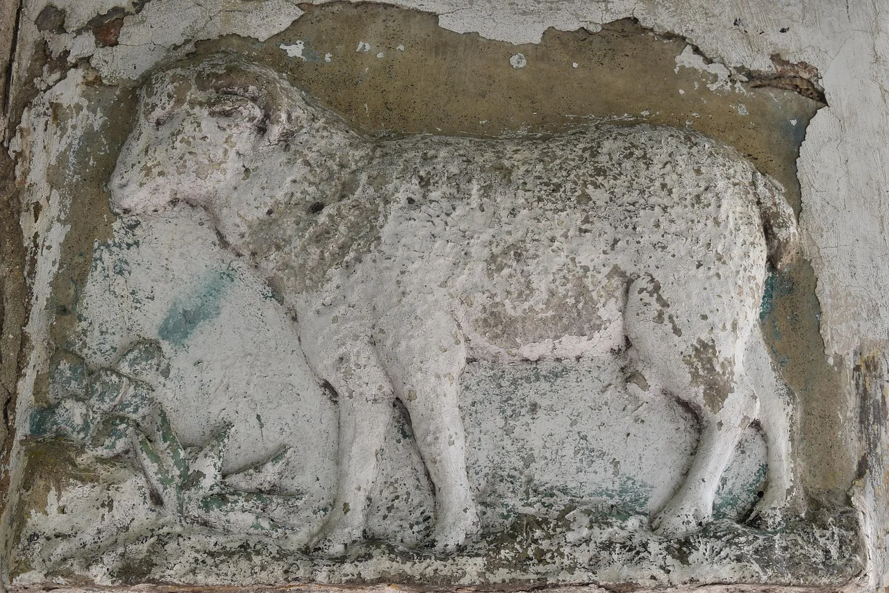 Hollow Untuk Partisi Gypsum