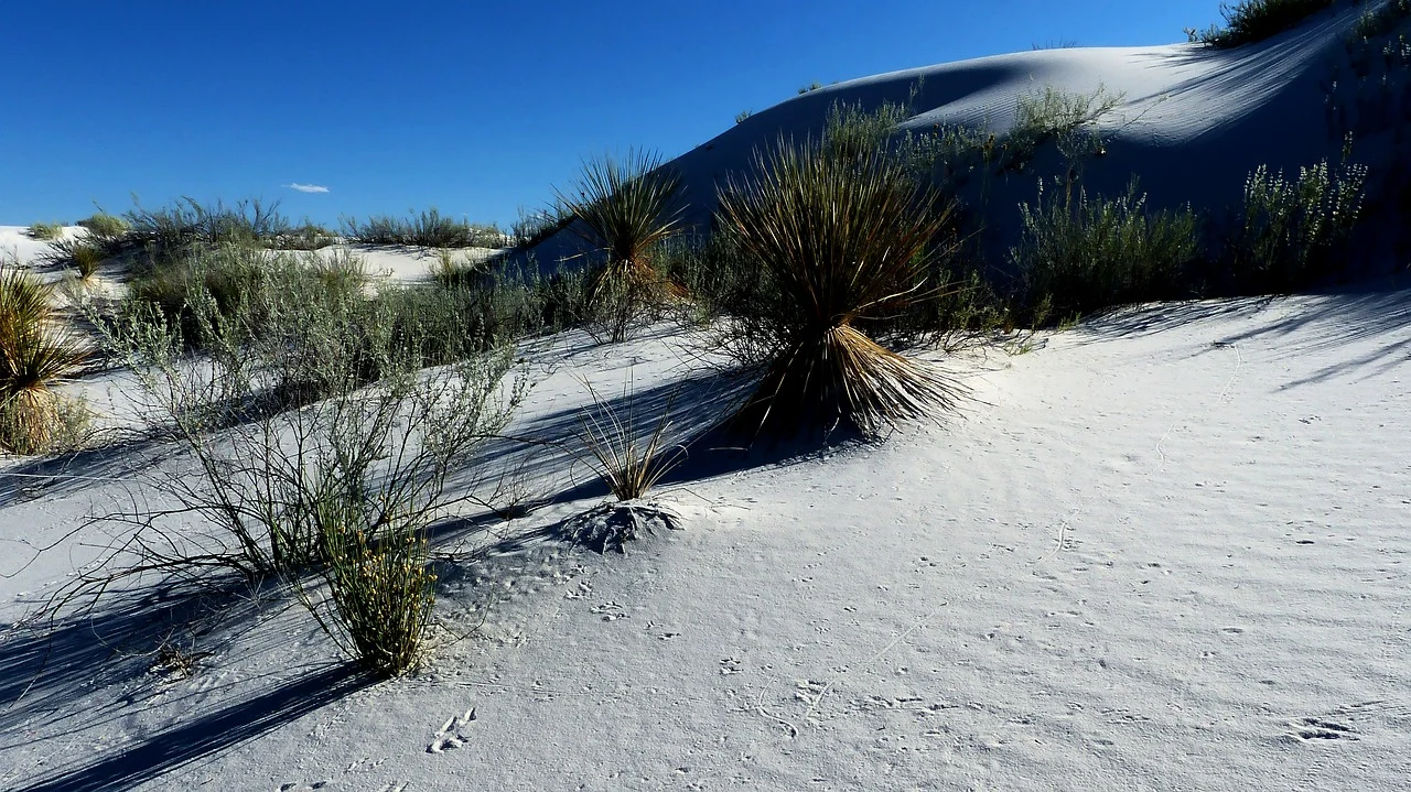 Kekurangan Partisi Gypsum