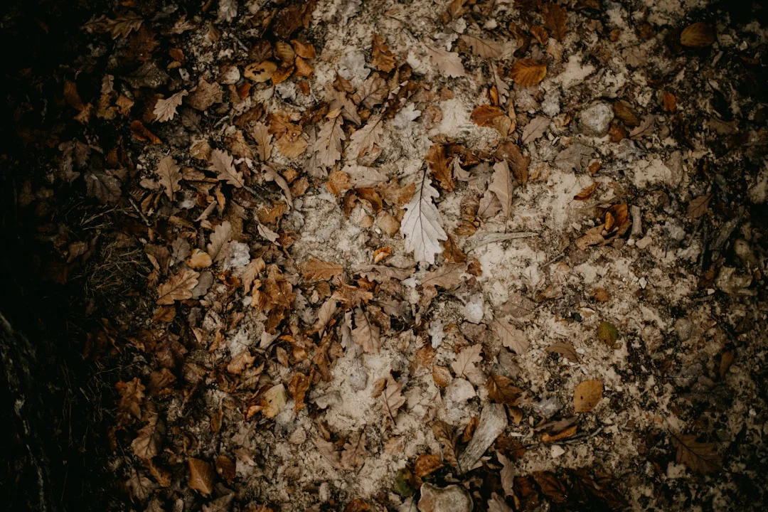 Kelebihan Plafon Pvc Dibanding Gypsum