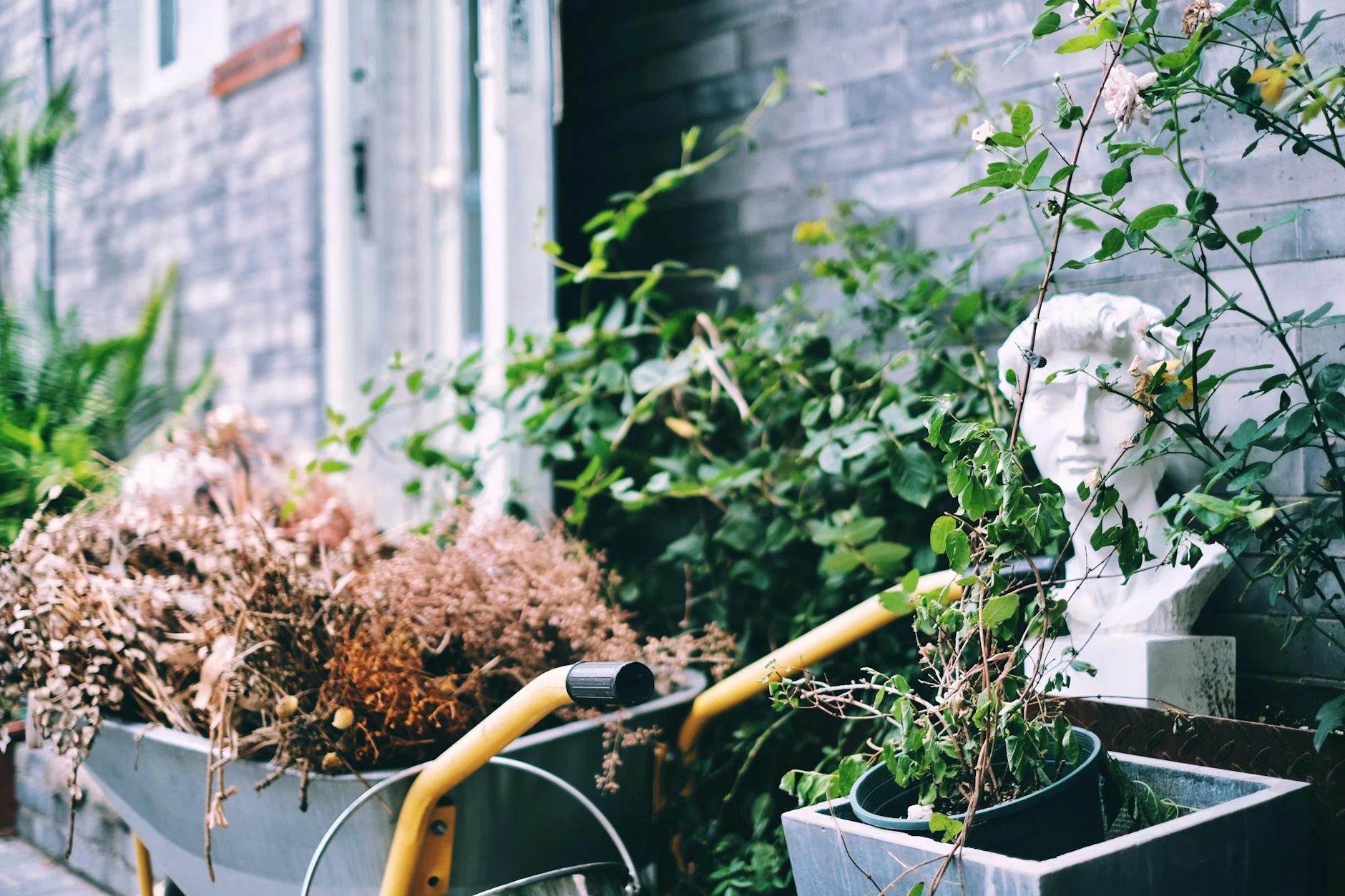 Perawatan Partisi Gypsum