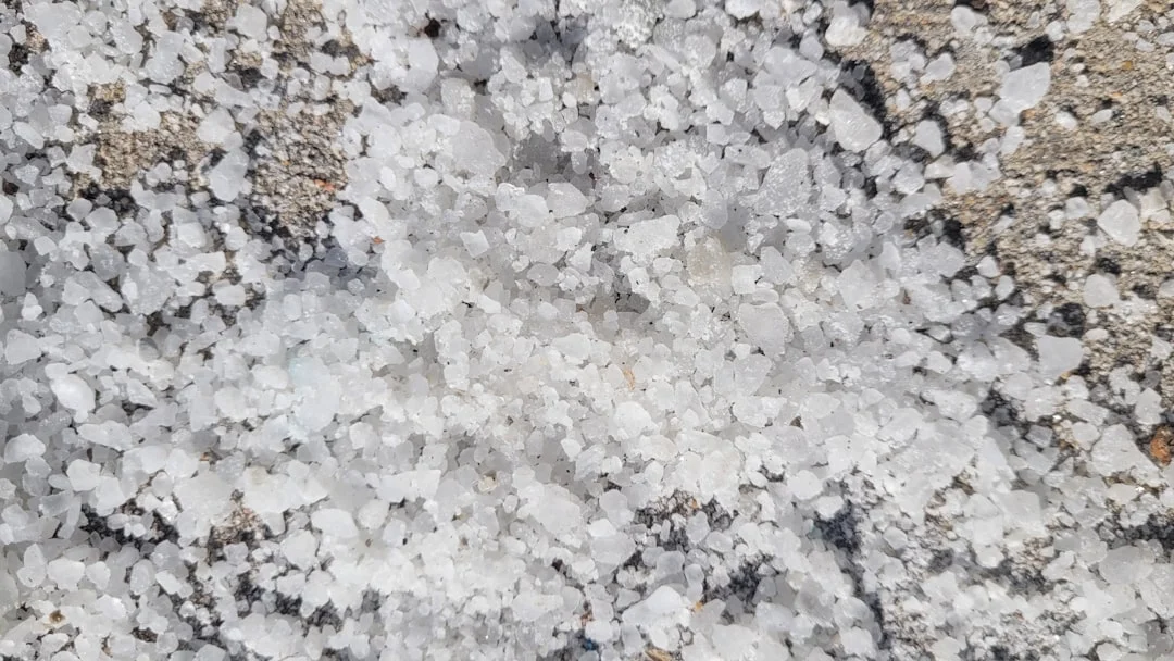 Perbandingan Harga Plafon Pvc Vs Gypsum Solo