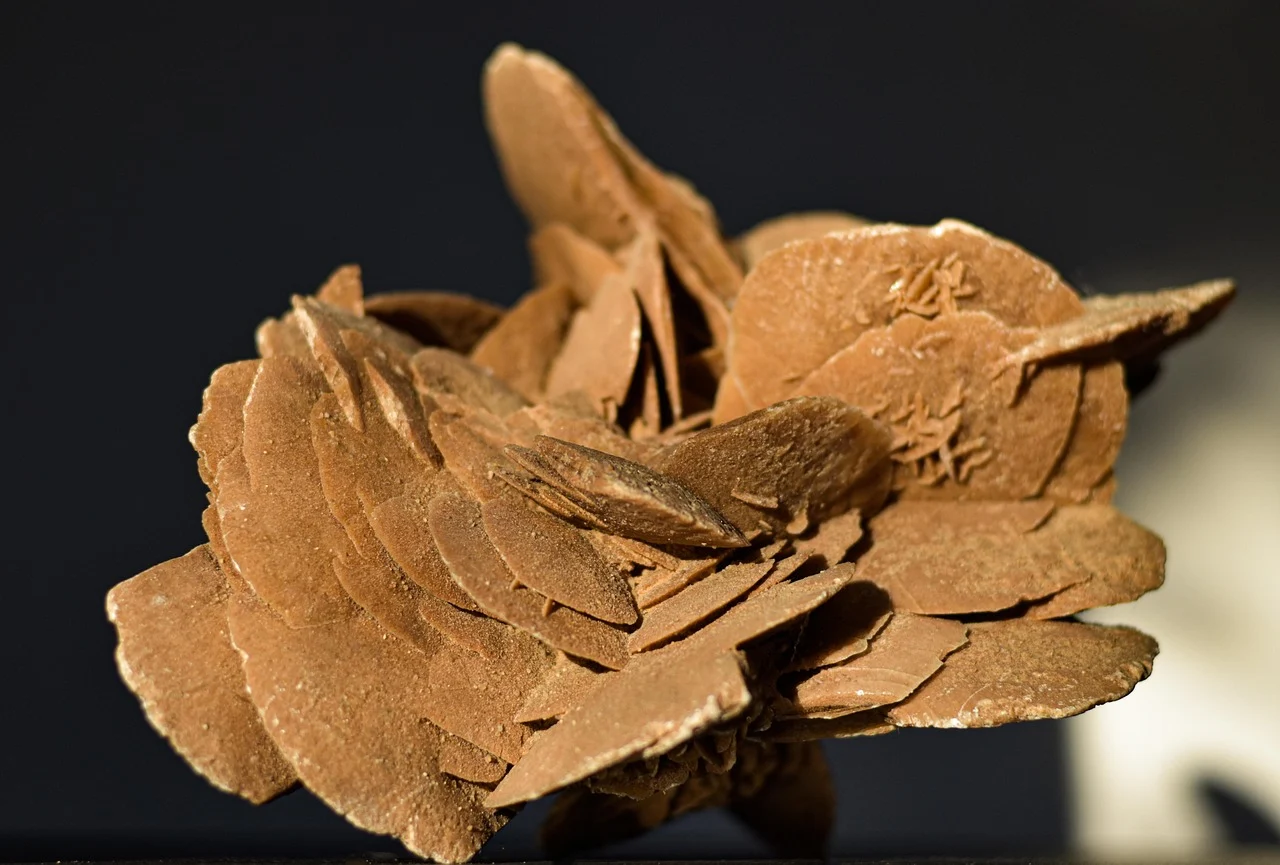 Plafon Gypsum Minimalis