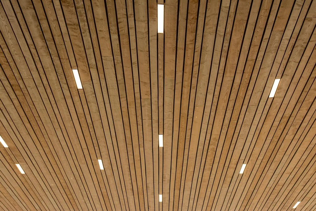 PVC Panels Ceiling Designs