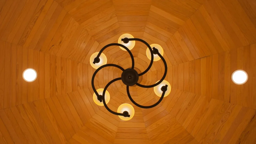 Stylish Ceiling Interior Design