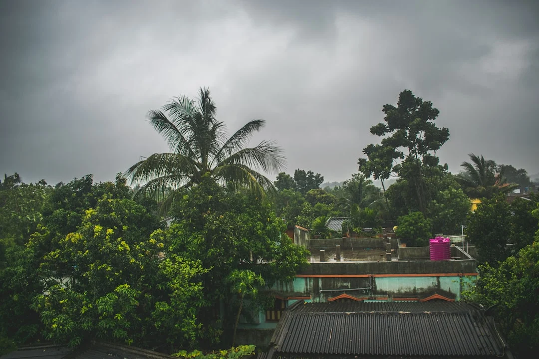 Humid Weather Tropical House
