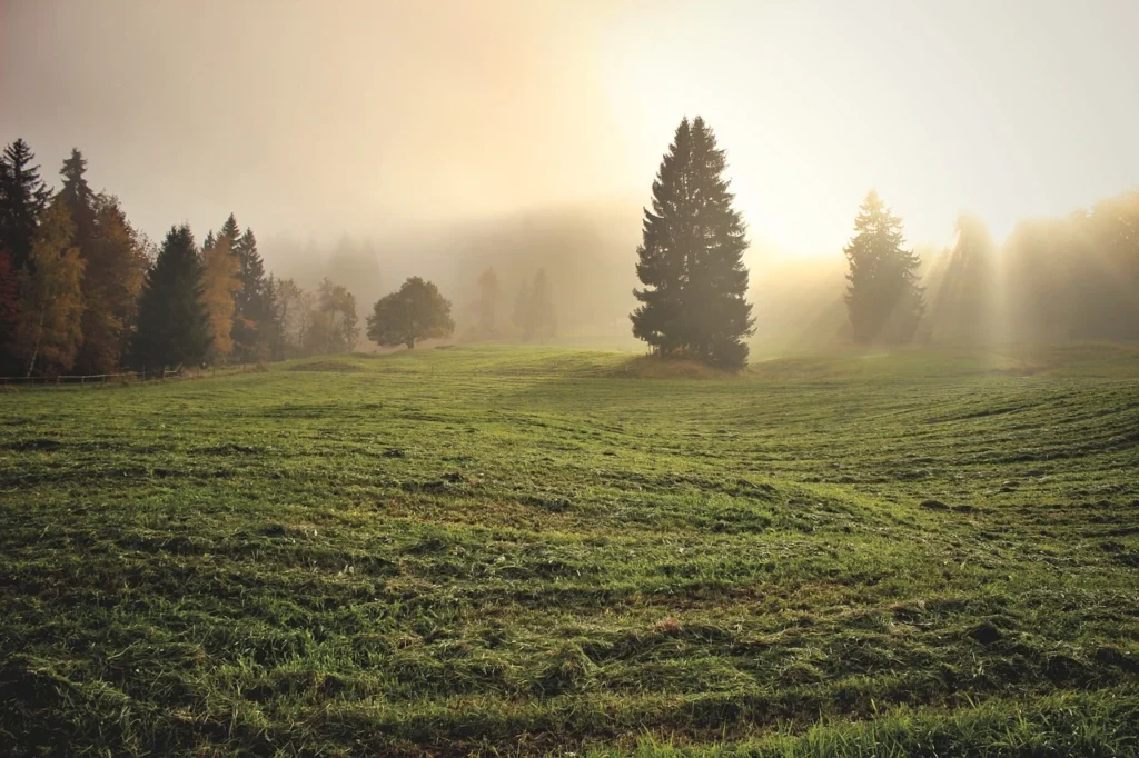Misty Mountain Foggy House