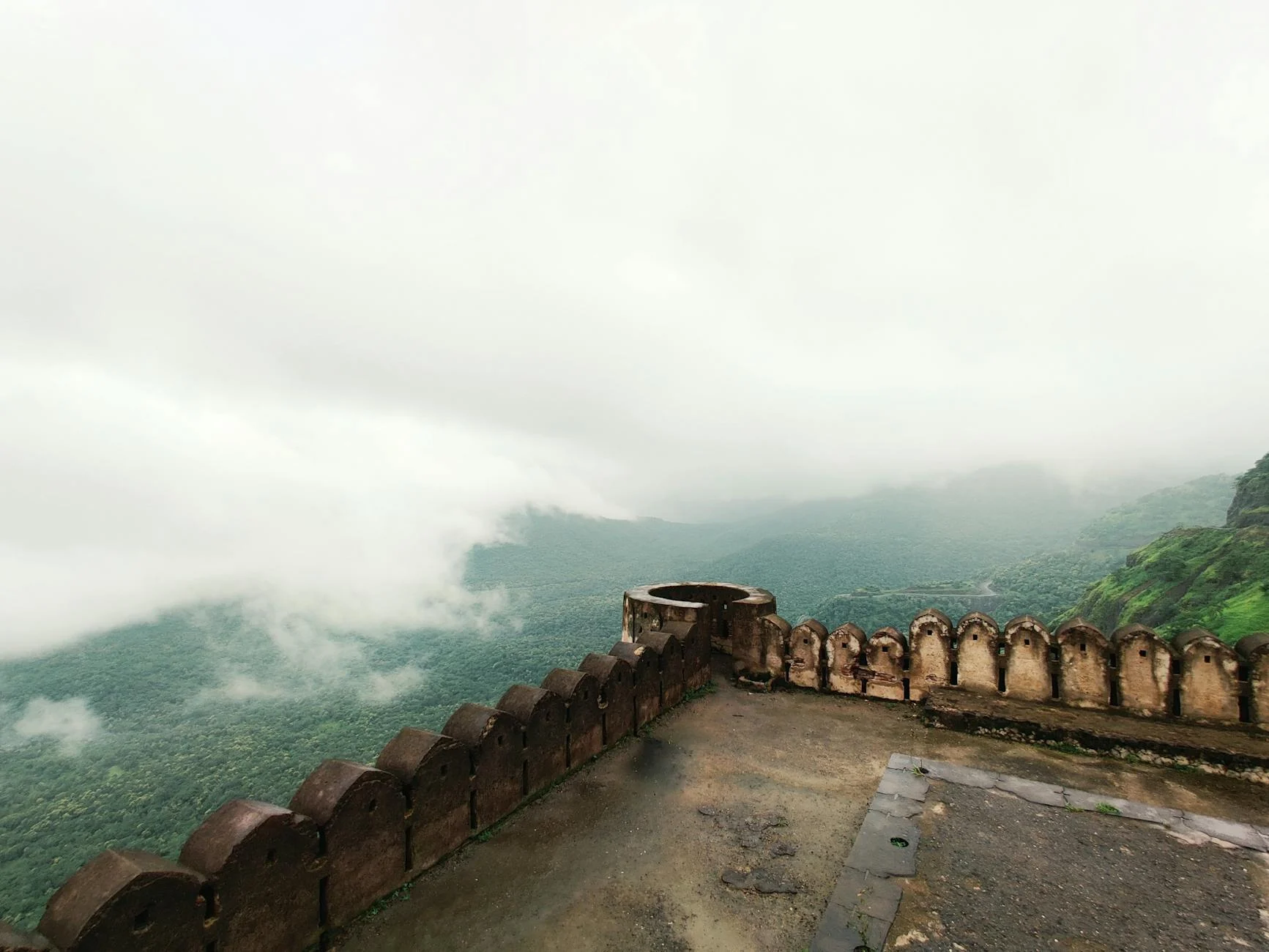 Mountain Mist Damp Wall