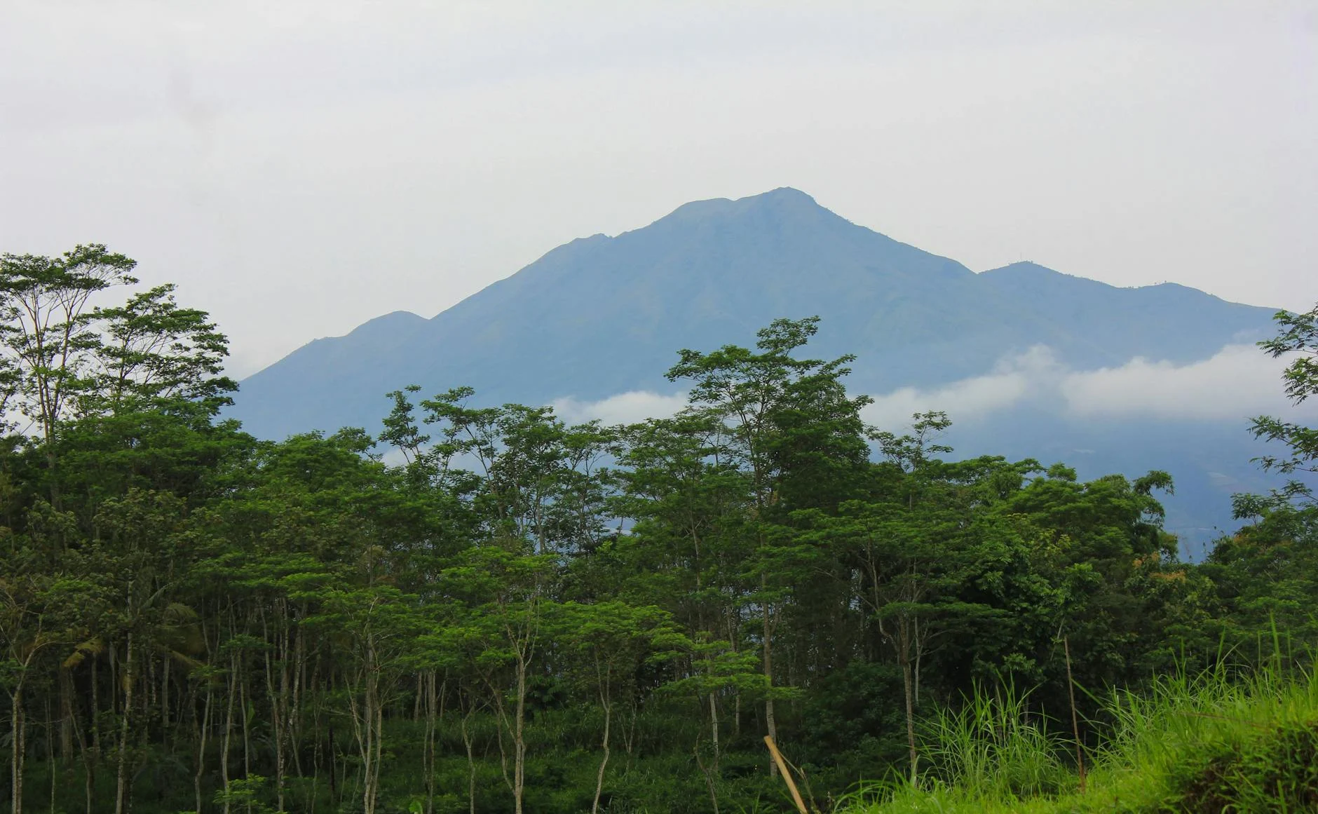 Solusi Plafon & Atap Purbalingga 2026: Hunian Nyaman Dan Awet Meski Di Bawah Kaki Gunung Slamet